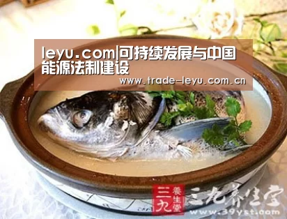leyu.com|可持续发展与中国能源法制建设(图1) leyu中国官网