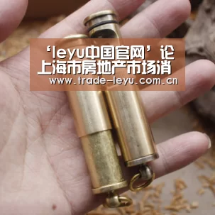 ‘leyu中国官网’论上海市房地产市场消费者心理分析(图1) leyu中国官网